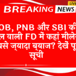 FD Scheme Risks: BOB, PNB और SBI की 1 साल वाली FD में कहां मिलेगा सबसे ज्यादा ब्याज? देखें पूरी लिस्ट